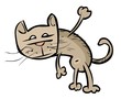 Cat Cat