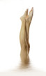 jambes longues jambes longues