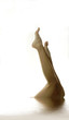 jambes fines