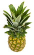 Pineapple top view isolated on white