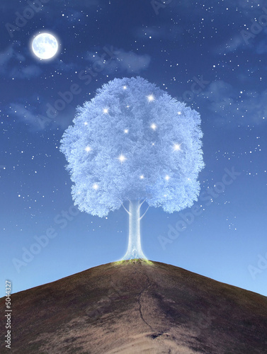 Photo: Magical tree Magical tree