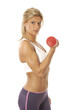 Blondine, Hantel Blondine, Hantel