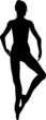 image 11 ronde silhouette front cam