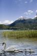 Lake in Alps 