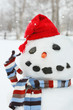 Snowman with red hat