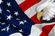 Photos : Eagle and flag