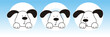 perro04