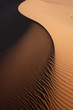 Sahara Desert