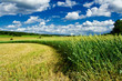 Edge of field