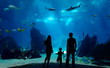 Photo: Underwater family Underwater family