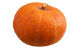 orange pumpkin isolated on white