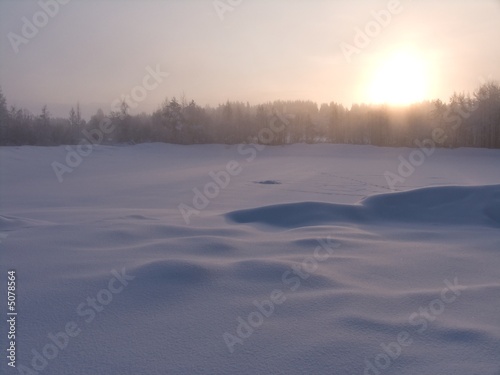Frozen Mist Frozen Mist