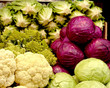  Cabbage Family