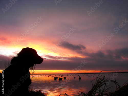 Photo: A Dog's View A Dog's View