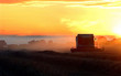 Conbine Harvester