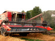 Conbine Harvester