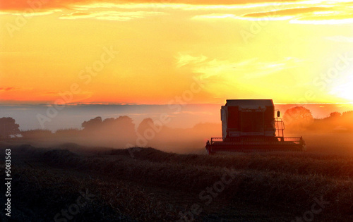 Conbine Harvester