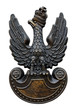 Polish Army Symbolic Eagle Polish Army Symbolic Eagle