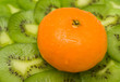 tangerine on green