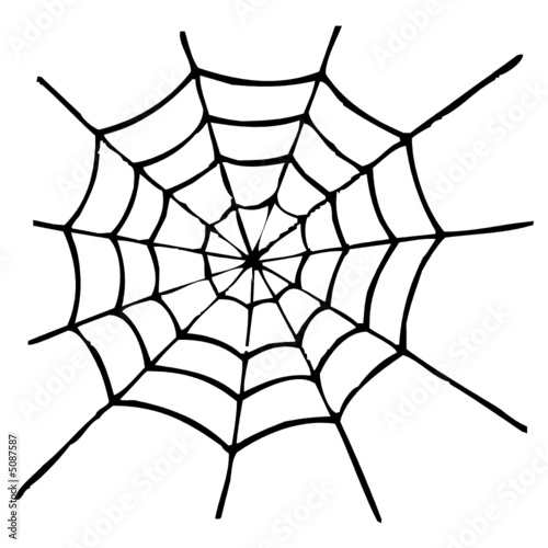 spinnennetz spinnennetz