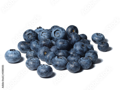 Beeren / Blaubeeren