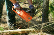 Chainsaw and flying saw-dust