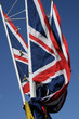 Flag