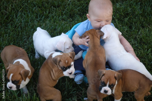 puppy baby 21 puppy baby 21