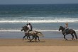 promenade à cheval sur la plage