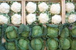 choux-fleurs et choux verts