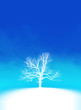 Frosty tree