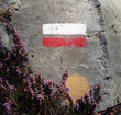 Balise GR34 