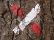 Balise GR34 - Mauvais chemin