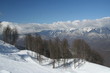 Snow forest in the high mountain 