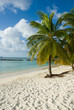 Seychelles, île Sainte Anne