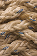 Rope Up
