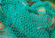 Blue Fish Net