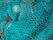 Blue Fish Net
