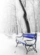 Blue benches in the fog in winter Blue benches in the fog in winter