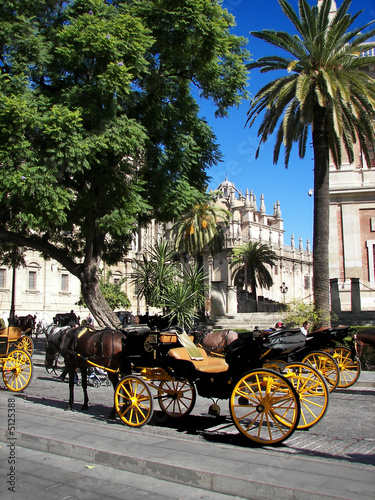 Photo: Coche de Caballos, Sevilla Coche de Caballos, Sevilla