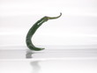 Chili Chili