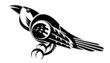 bird bird