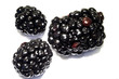 Blackberry 3 berries macro close-up with white background 1 Blackberry 3 berries macro close-up with white background 1