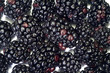Blackberries with white background for background use 2 Blackberries with white background for background use 2