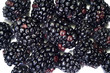 Blackberries with white background for background use 1 Blackberries with white background for background use 1