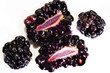 Half-cut and solid blackberries isolated with white background Half-cut and solid blackberries isolated with white background