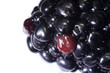 Blackberry macro close-up with white background 3 Blackberry macro close-up with white background 3