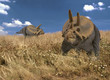 Photo en ligne au meilleur prix dinosaure, tric�ratop