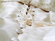 Wedding Gown