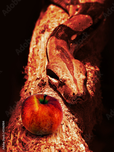 Photo: Temptation Temptation